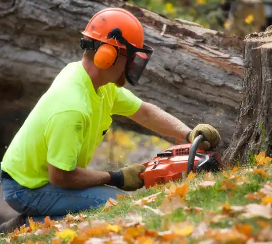 tree services Galena